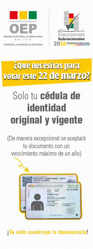 ¿Qué necesitas para votar este 22 de marzo? - Elecciones Subnacionales 2026