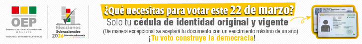 ¿Qué necesitas para votar este 22 de marzo? - Elecciones Subnacionales 2026