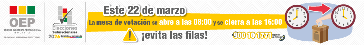 Información elecciones subnacionales 2026