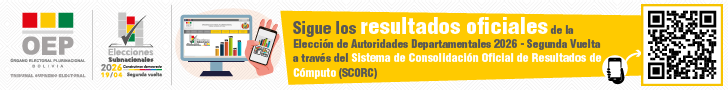 Información elecciones subnacionales 2026